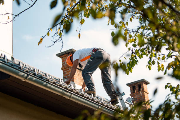 Best Flat Roof Repair Services  in Charleston, IL