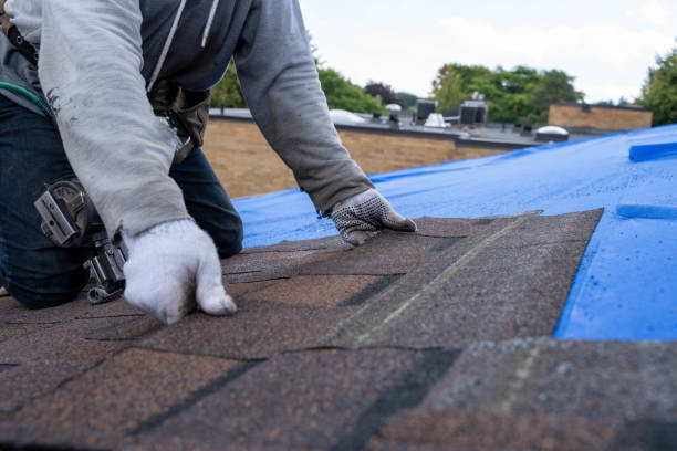 Best Commercial Roofing Services  in Charleston, IL