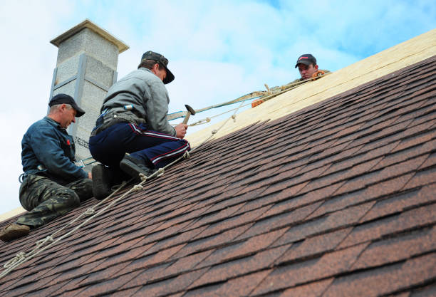 Best Roof Restoration Services  in Charleston, IL